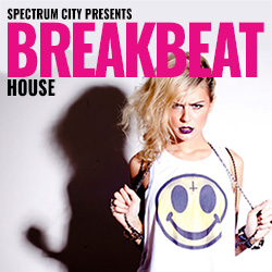 Breakbeat House