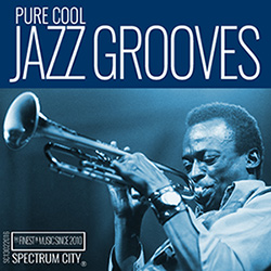 Pure Cool Jazz Grooves